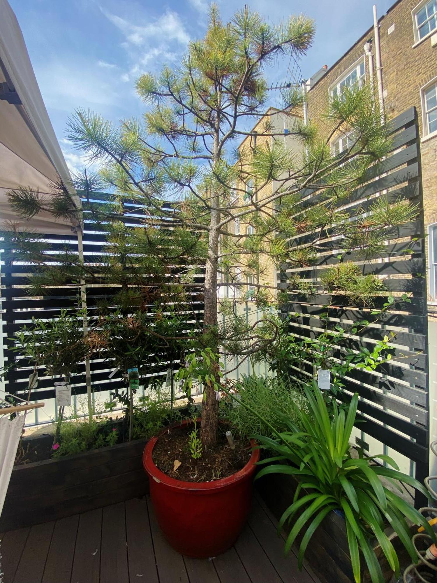 Luxury Belgrave Square Private Mews Townhouse Ferienhaus